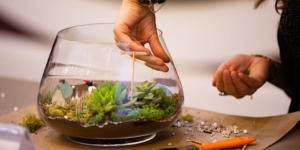 Urban pothos Workshop- Luxe Terrarium Workshop