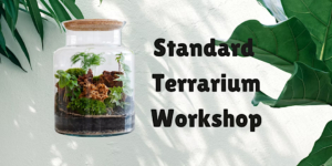 Urban Pothos Workshop- Standard Terrarium Workshop