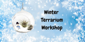 Urban Pothos Workshop- Winter Air Plant Terrarium Workshop