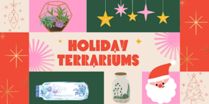 Urban Pothos Workshop- Holiday Terrarium Workshop